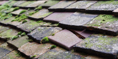 Llangaffo roof repair costs